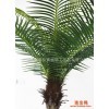绿意常驻，匠心造景——探访东莞市聚春仿真植物工艺品